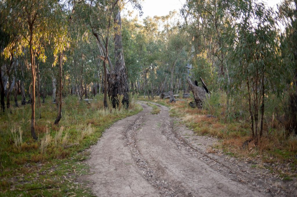 4x4 Track Nyah Vinifera Park