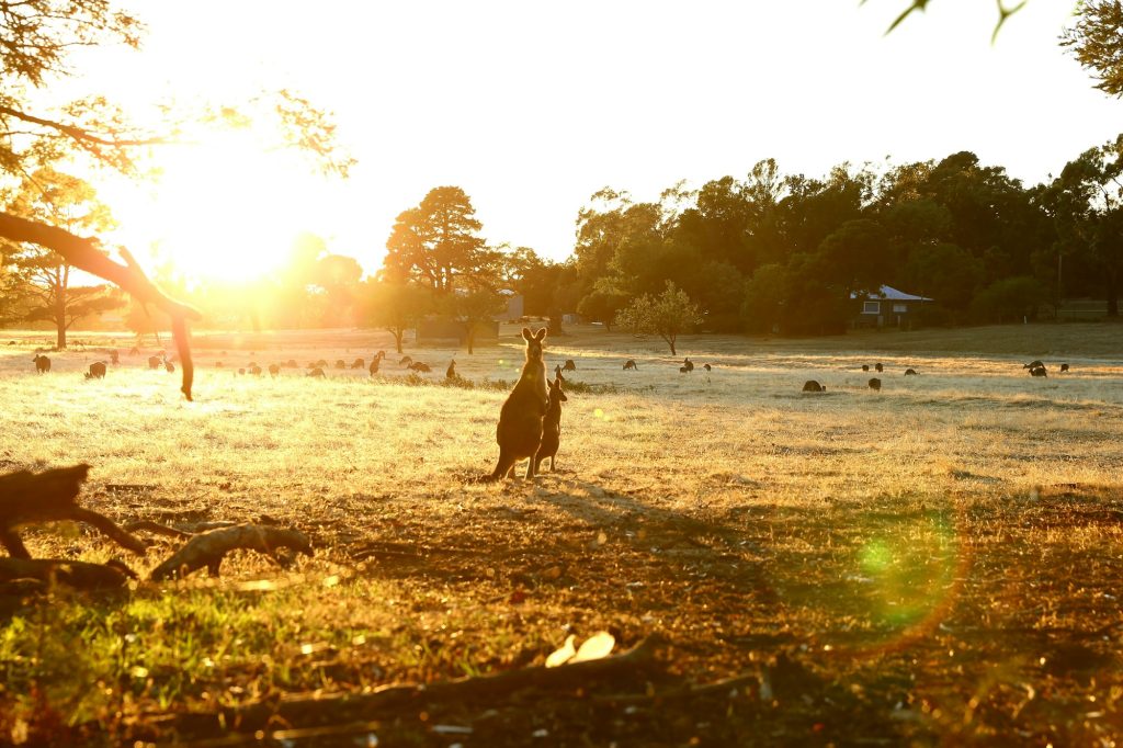 Australia inhabitants