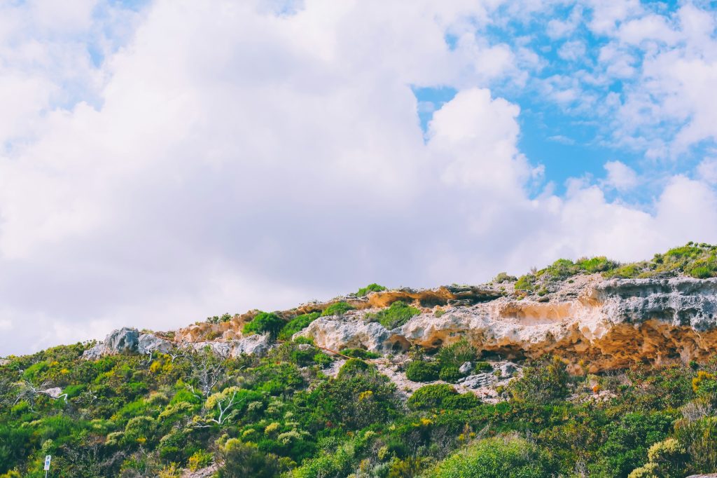 Australian nature