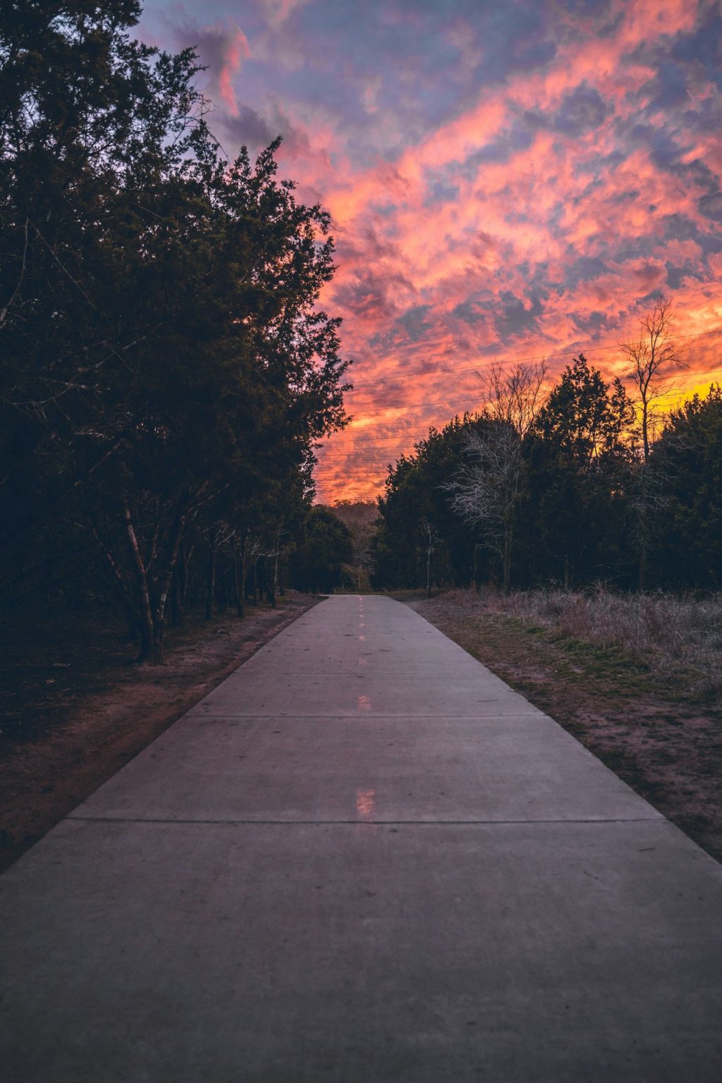 Sunset on a sidewalk with park trees in Austin, Texas with red cloudy sky